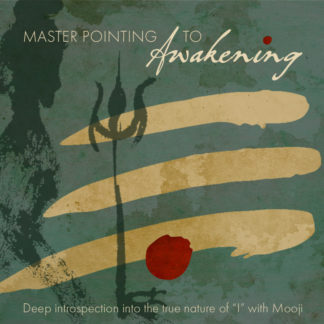 Master Pointing to Awakening