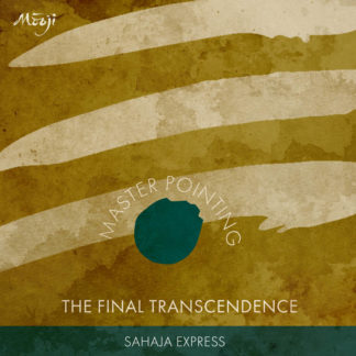 Master Pointing: The Final Transcendence