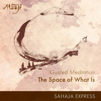 Guided Meditation: The Space of What Is
