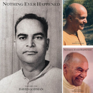 Nothing Ever Happened, Vol 1-3