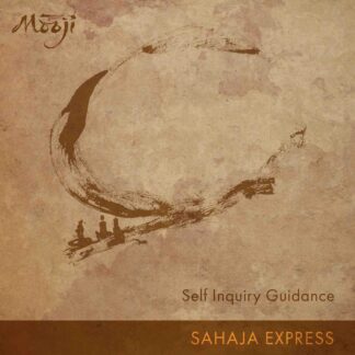 Self Inquiry Guidance ~ Make This Your Freedom Practice