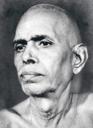 Ramana InSight