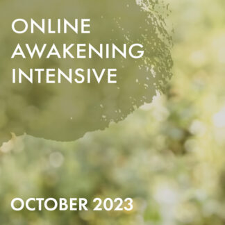 Online Awakening Intensive - October 2023
