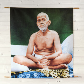 Ramana Maharshi ~ Darshan