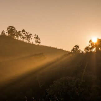 New Year's Day Sangha Visit ~ 1 January