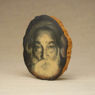 Sri Yogi's Gaze