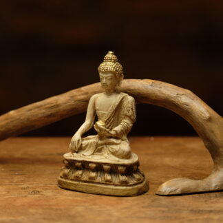 Untouched Presence ~ Lord Buddha